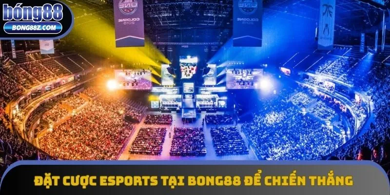 Đặt Cược Esports Tại Bong88 - Bí Kíp Giành Chiến Thắng Cao